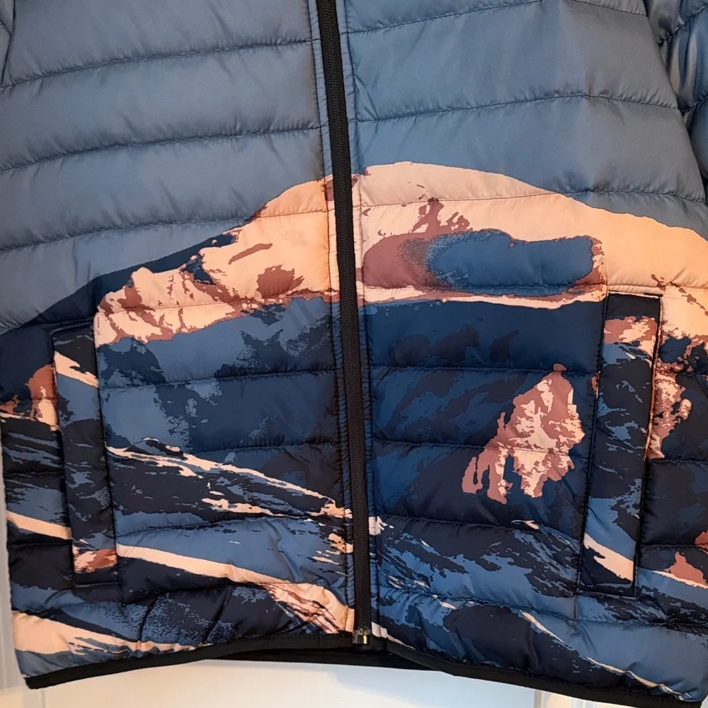 Hollister Blue and Beige Mountain Jacket